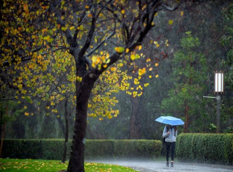 Student with blue umbrella walking on campus in the rain