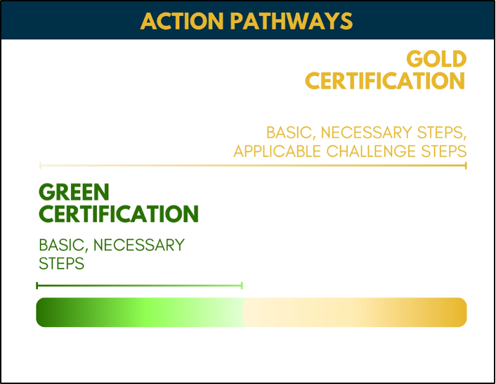 Action Pathways